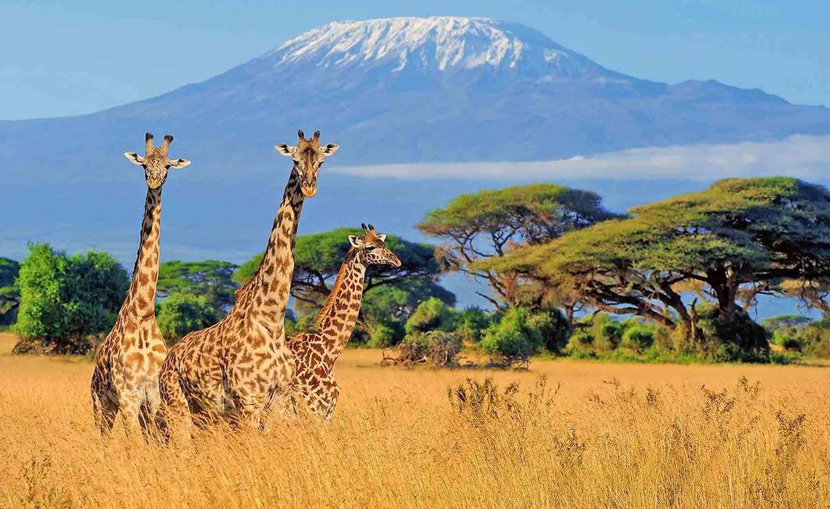 mount kilimanjaro tanzania