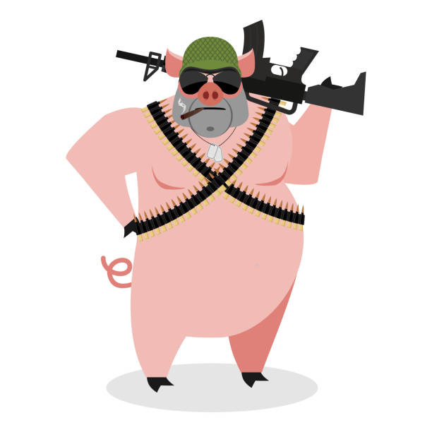 Military Pig with rifle. Boar with gun. hog and machine-gun tape. Animal soldiers. Army style. Soldiers badge and protective helmet Military Pig with rifle. Boar with gun. hog and machine-gun tape. Animal soldiers. Army style. Soldiers badge and protective helmet war pigs stock illustrations