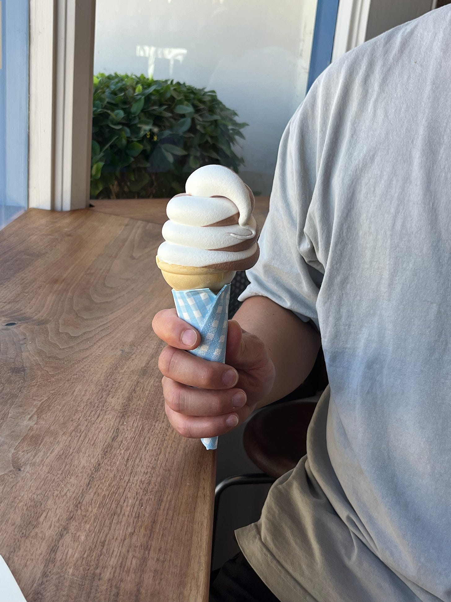 Man holding a vanilla and chocolate swirl soft serve cone wrapped in a blue gingham napkin.