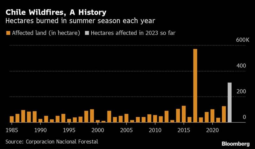 Chile Wildfires, A History  | Hectares burned in summer season each year