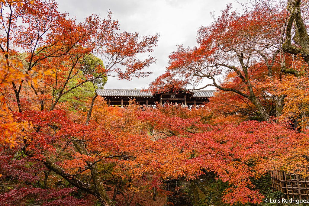 El templo Tofuku-ji de Kioto