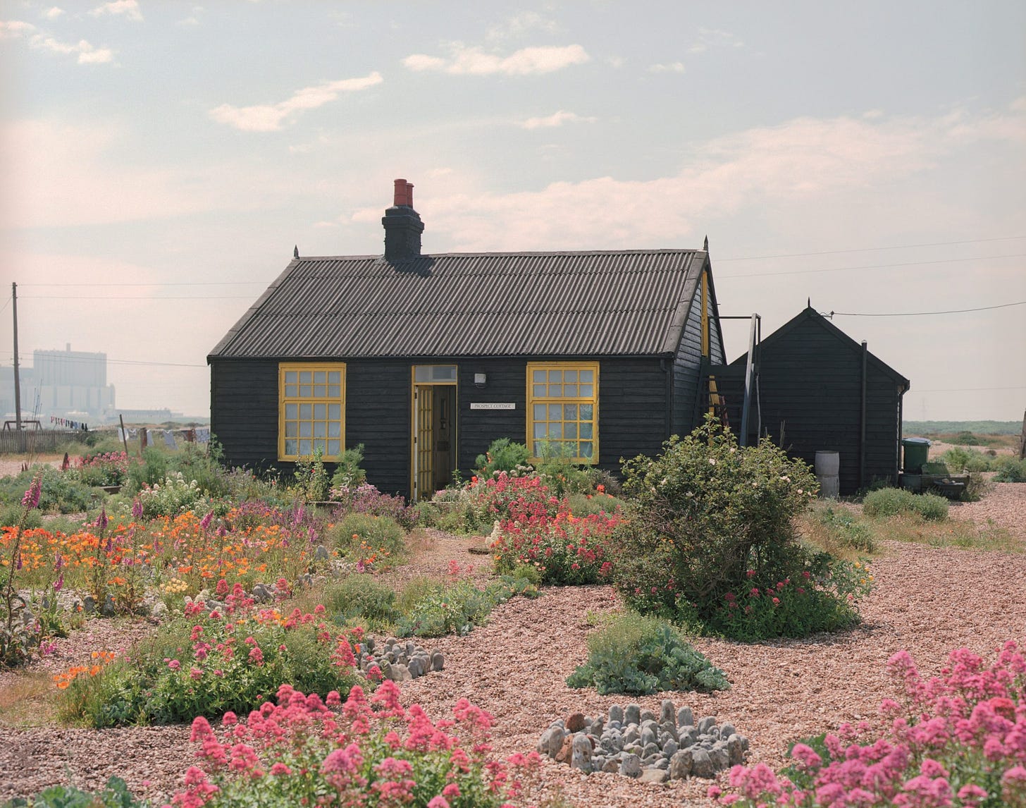 Derek Jarman: My garden's boundaries are the horizon - Garden Museum