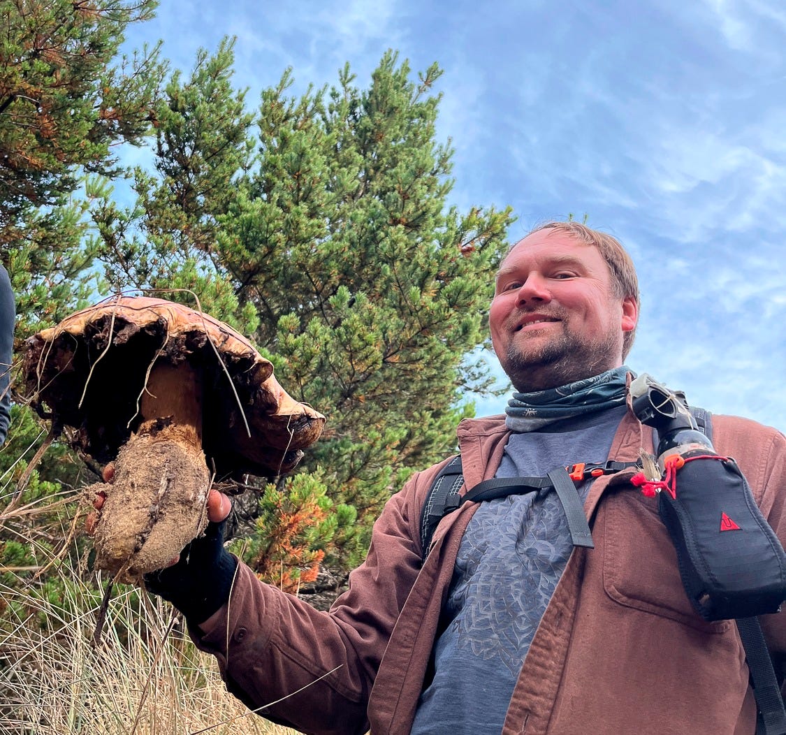 Joseph Crawford holding massive matsutake mushroom Joseph Crawford holding massive matsutake mushroom