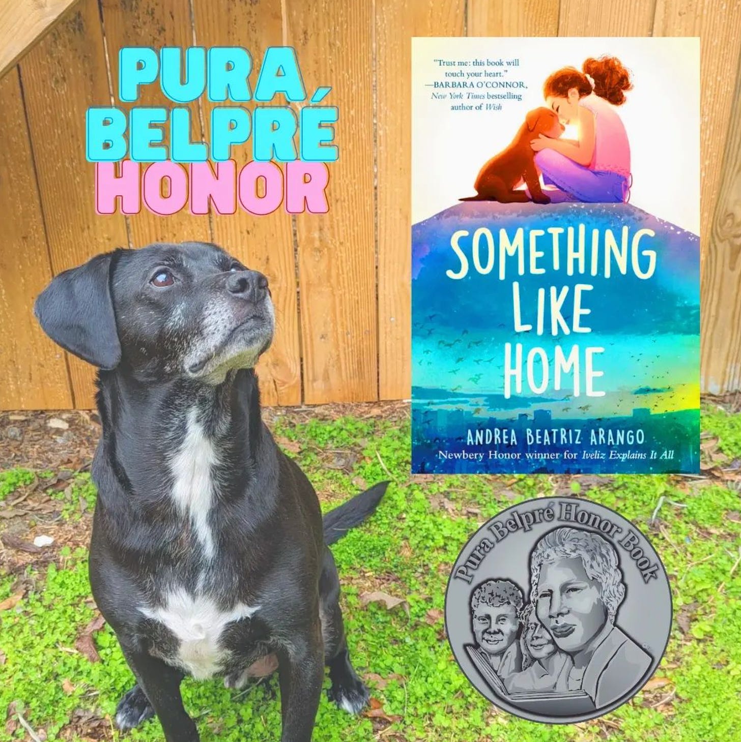 a picture of andrea's dog Ghost overlayed with the cover of something like home with the pura belpre medal underneath