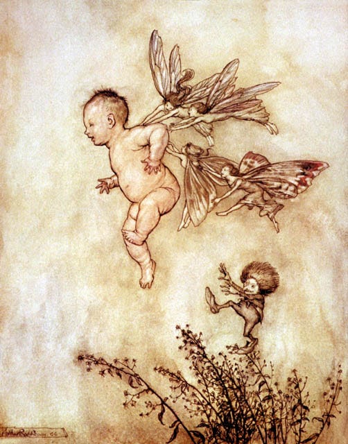 Peter and the Fairies Arthur Rackham