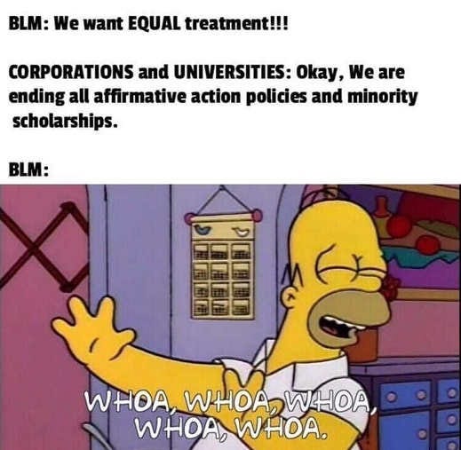 homer simpson blm equal treatment corporations universities