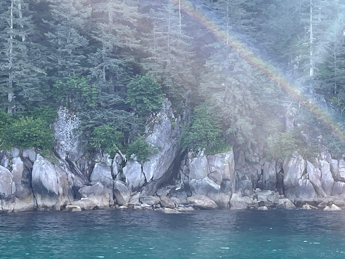 A photo taken from a boat on turquoise water of a rocky shore thick with pines and a rainbow across the right side of the photo
