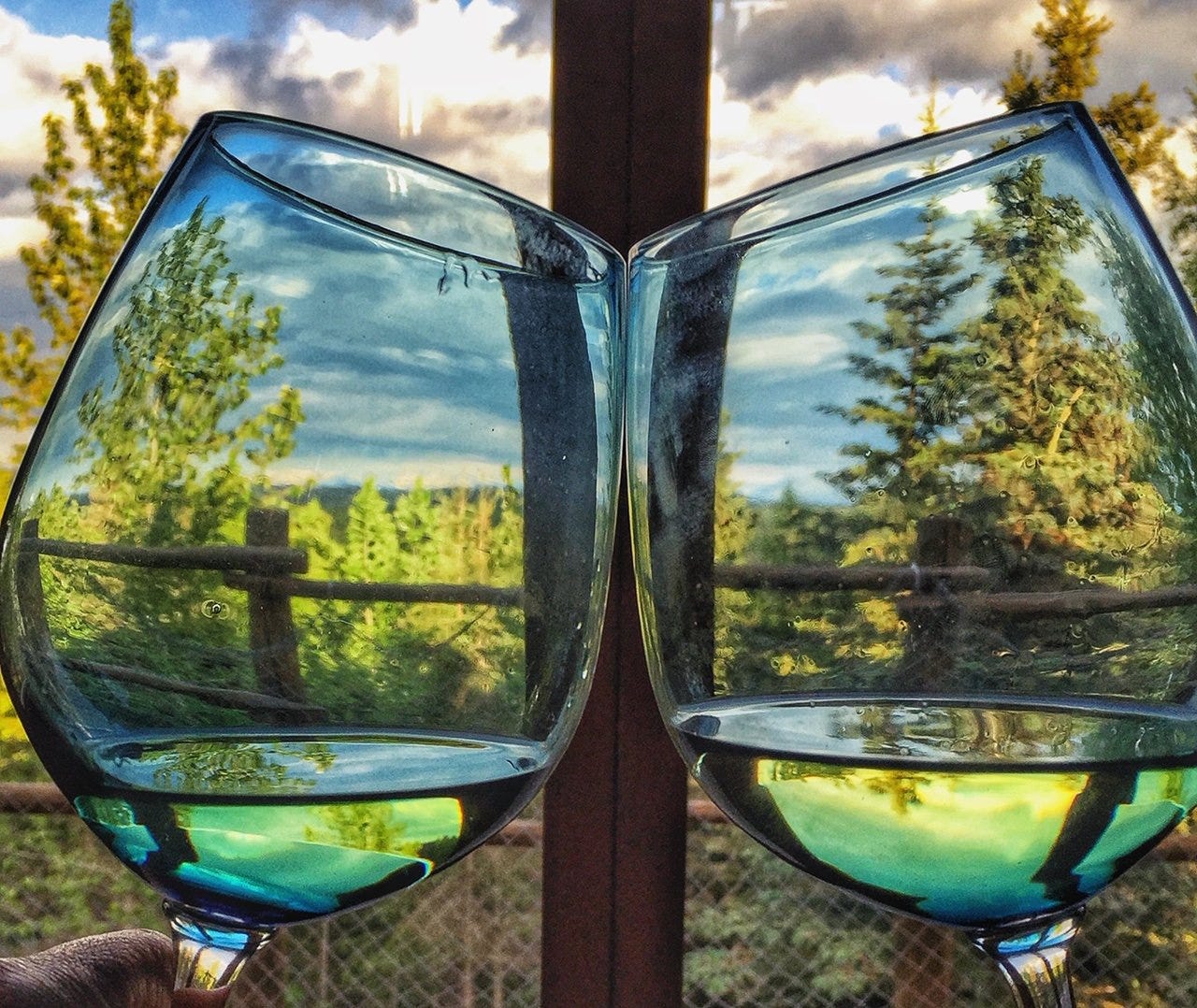 Two wine glasses before My Dry Year