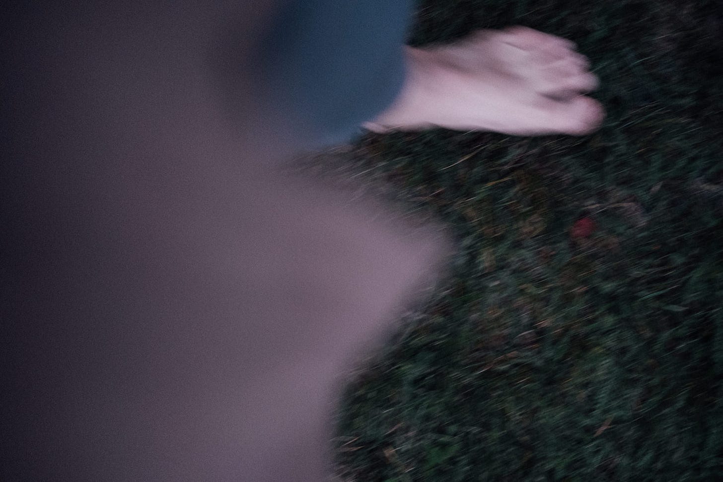 midsummer night movement