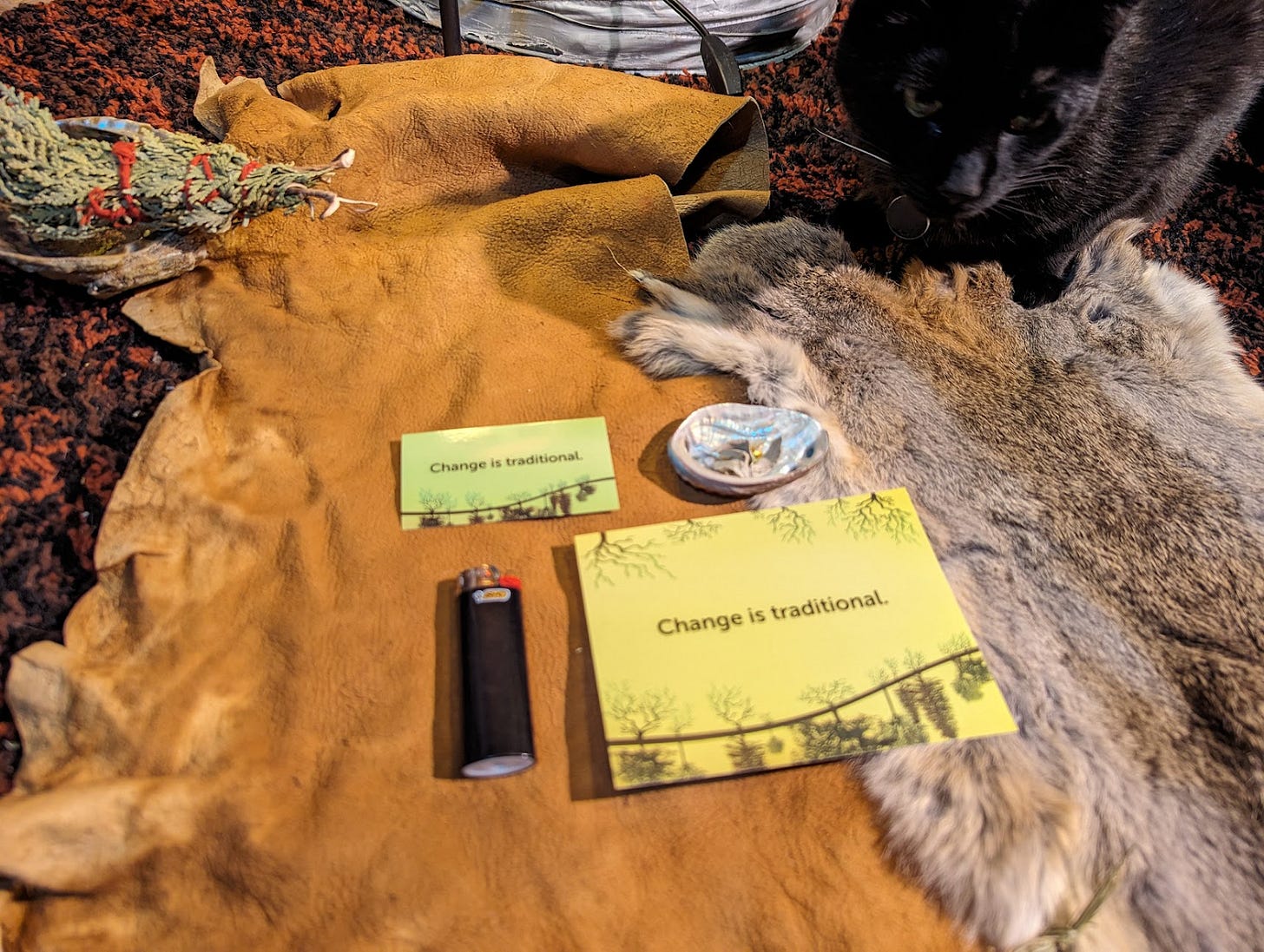 A black cat perches in the top right corner of a carpet, as NYSHN's Indigenous Youth Affirmation Decks are arrayed for their photo shoot