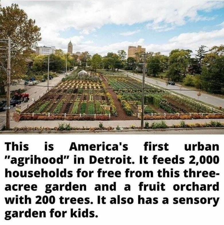 A garden in a city

AI-generated content may be incorrect.