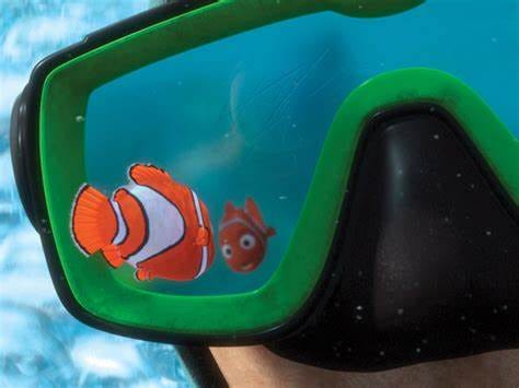 9 'Finding Nemo' plot points that are scientifically accurate