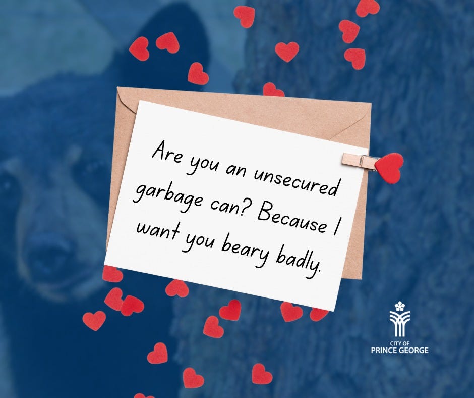 May be an image of heart and text that says 'Are you an unsecured garbage can? Because want you beary badly PRINCEGEORGE CITYO PRINCE GEORGE'