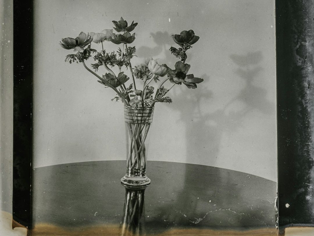 grayscale flowers artwork