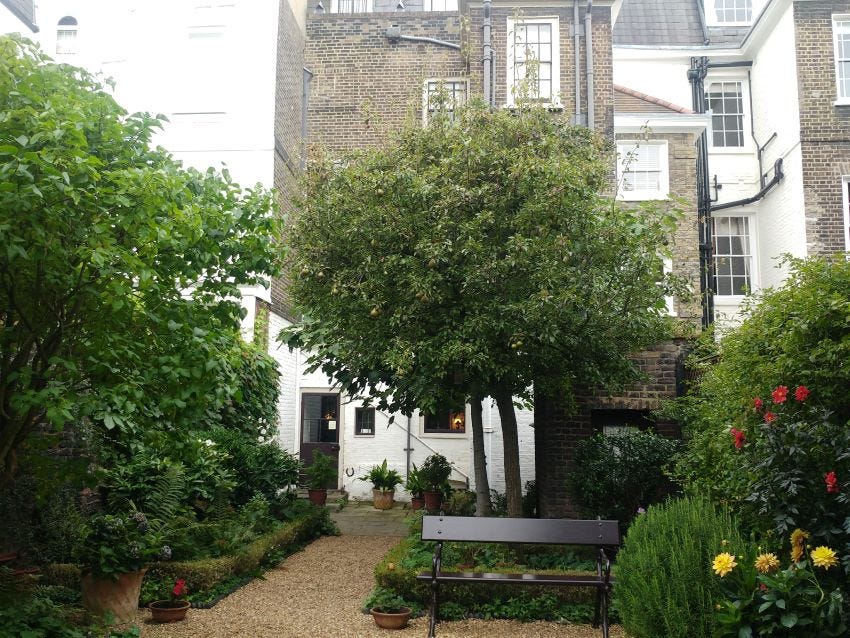 A front garden in London copyright Anne wareham
