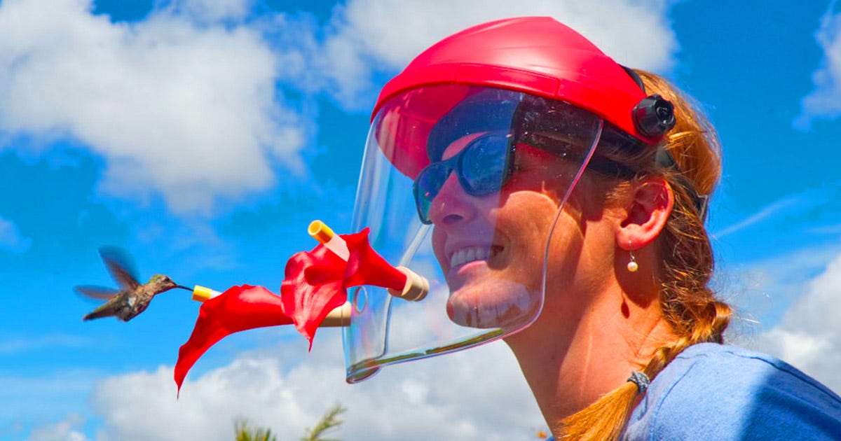 This Hummingbird Feeder Face Shield Lets You See Birds Inches From Your Face