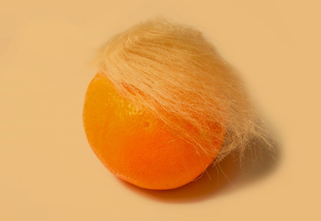 orange fruit on white surface orange fruit on white surface