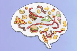 A steady diet of high-fat foods leads to reduced pleasure in eating, likely contributing to obesity. UC Berkeley scientists have discovered why, opening up new possibilities for treating obesity — not by fighting desire, but by restoring desire in a healthier way.