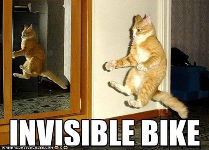 Great old LOLcat meme 'INVISIBLE BIKE,' showing a cat leaping in the air, its feet and forepaws positioned as if it were riding a bike.