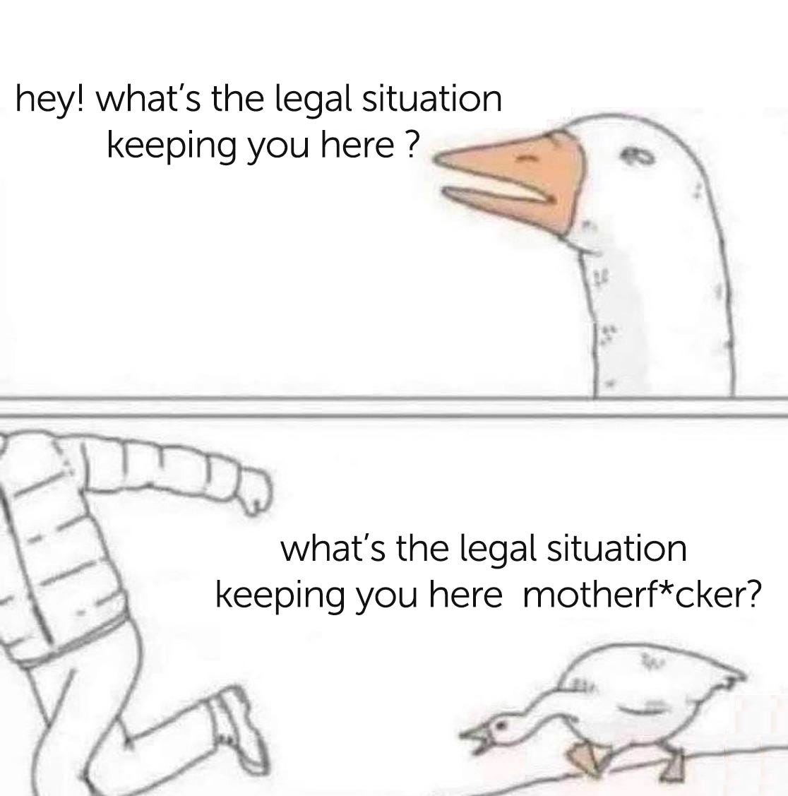 A meme Intern Mariam made, with a goose, eyes narrowed, asking “hey! what’s the legal situation keeping you here?” and in a second panel the goose chases a fleeing figure, saying “what’s the legal situation keeping you here motherf*cker?”