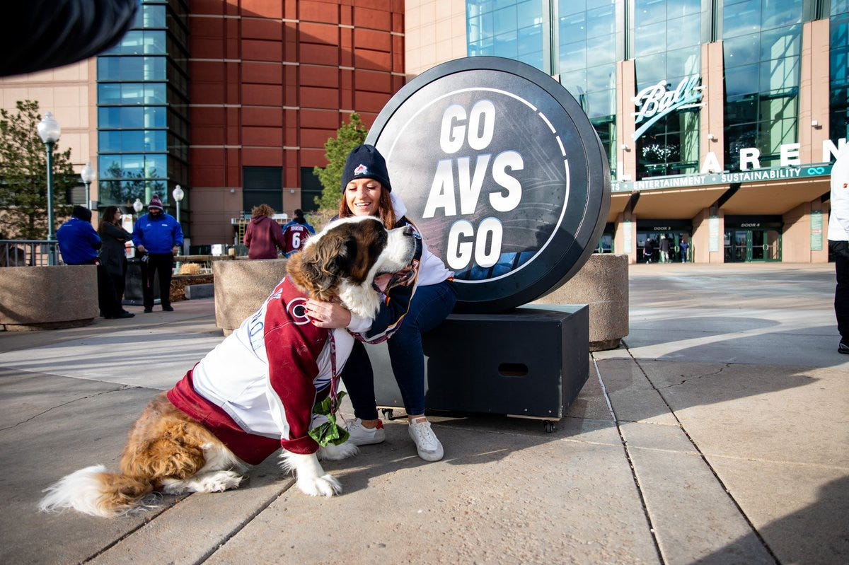 A picture of a girl and her large St. Bernard dog with an Avalanche jersey on. The dogs name is Sully MacKinnon. They are standing in front of a display of a large puck that reads “GoAvsGo” in front of the Grand Atrium entrance to Ball Arena.