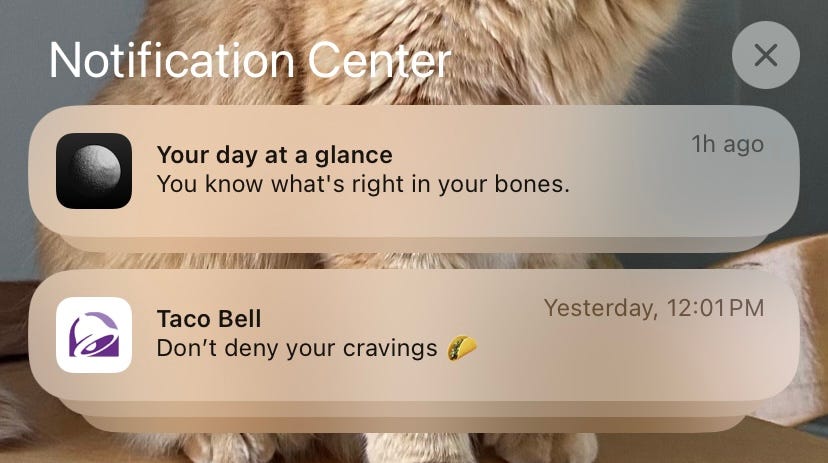 funny timing in the form of 2 iphone notifications: on top, a co–star push notification reads “you know what’s right in your bones.” below it, a taco bell notification reads “don’t deny your cravings.”