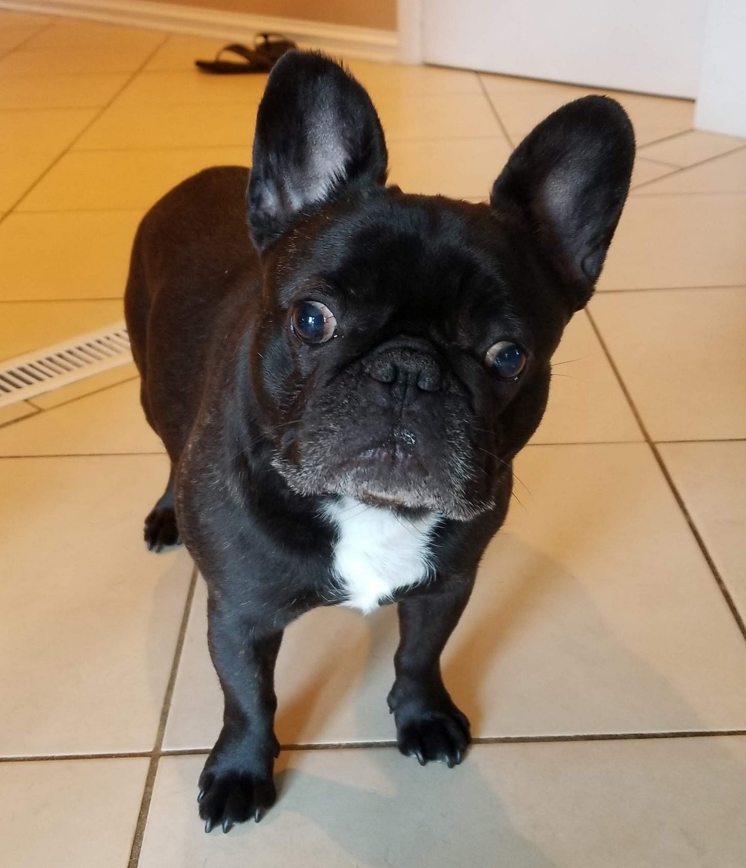 Roux