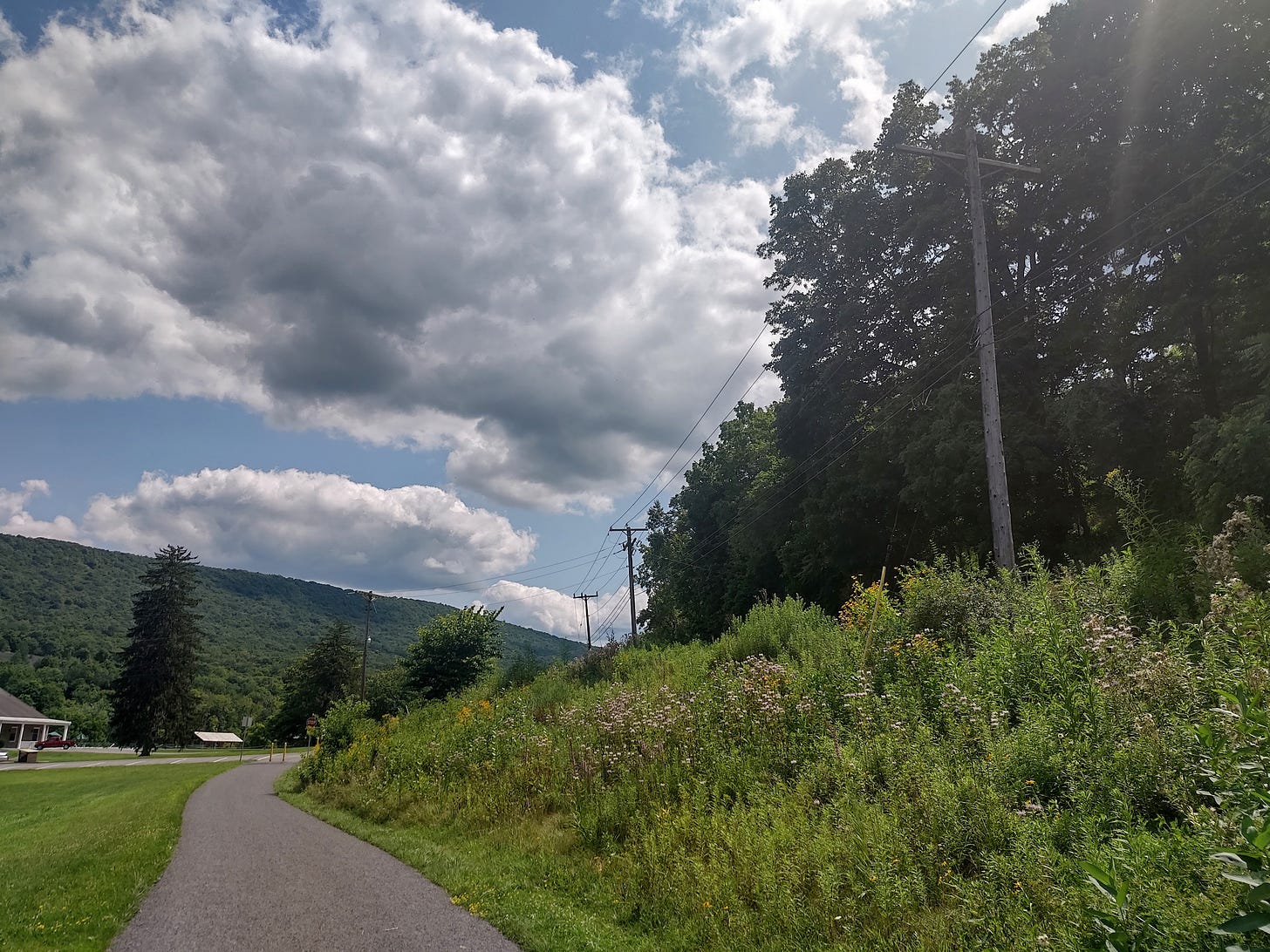 Clouds in a blue sky, a low mountain, a winding asphalt road, and telephone wires stretching around the hill strewn with wildflowers