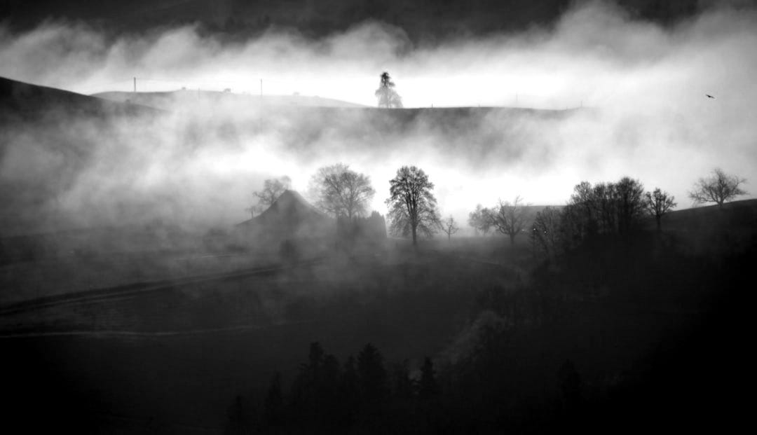 person standing on top of mountain