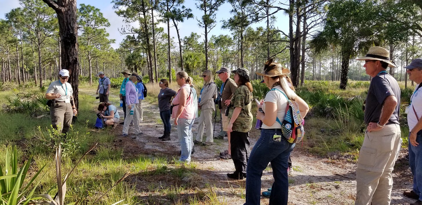 A group of people listening to a Florida Master Naturalist Instructor on a walking path through a pine forest.