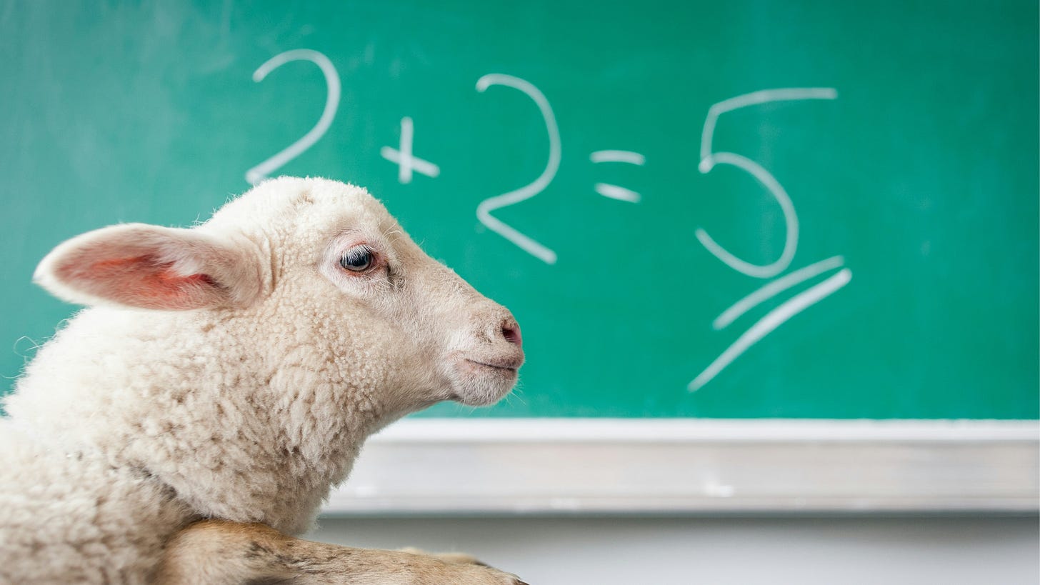 A lamb in the foreground with 2 + 2 = 5 in the background