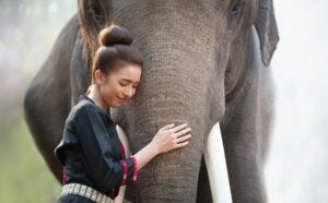 Elephant and woman in Thailand