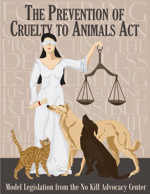 The ﻿Prevention of Cruelty to Animals Act