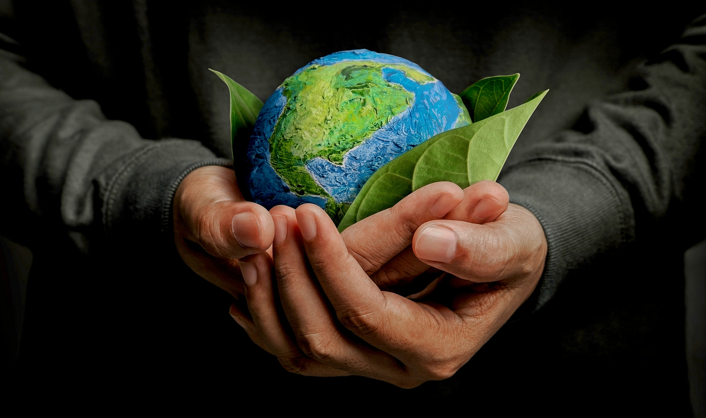 A globe resting on leaves and held in a pair of cupped hands