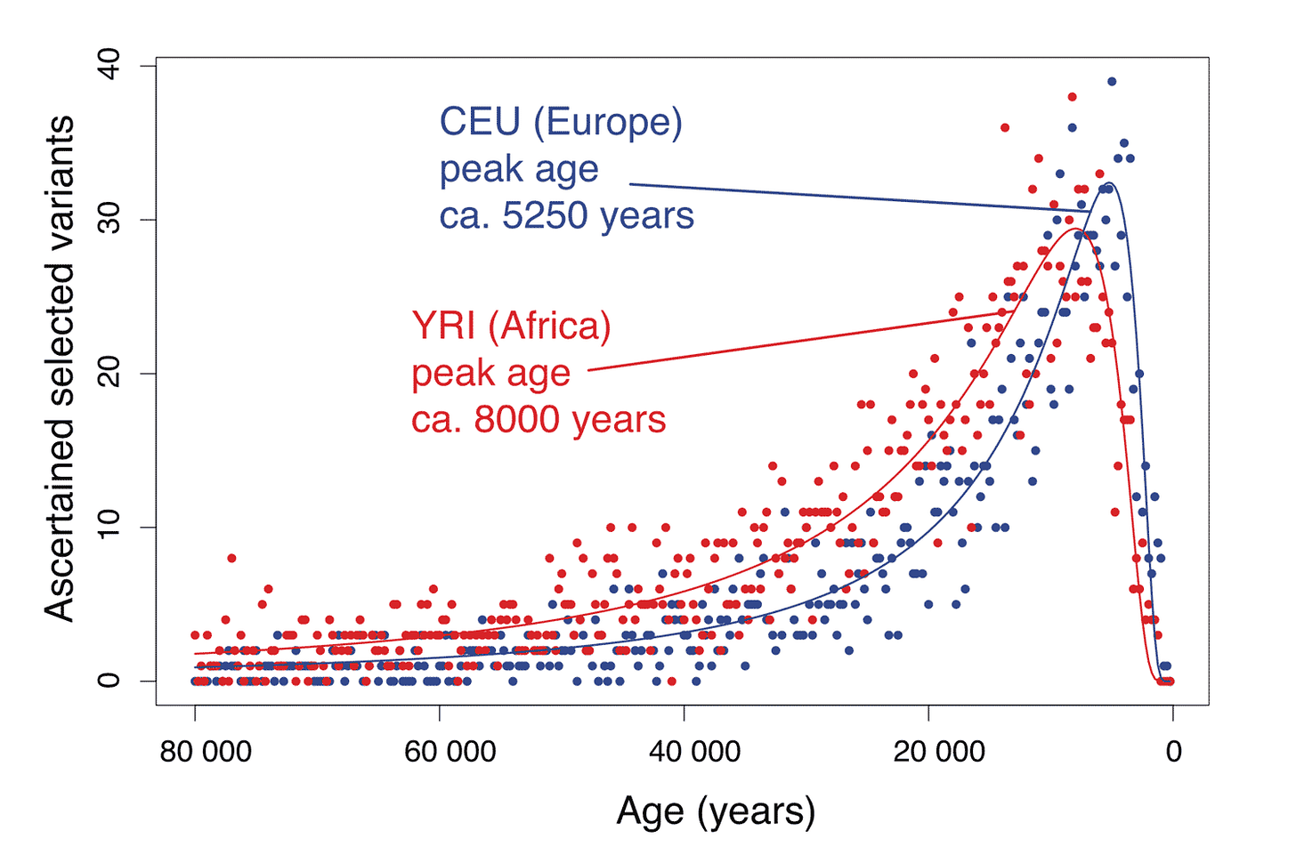 Two histograms overlapping, showing that European ancestry HapMap individuals have a peak in ascertained selected variants around 5250 years in the past; Yoruba individuals around 8000 years in the past. Two histograms overlapping, showing that European ancestry HapMap individuals have a peak in ascertained selected variants around 5250 years in the past; Yoruba individuals around 8000 years in the past.