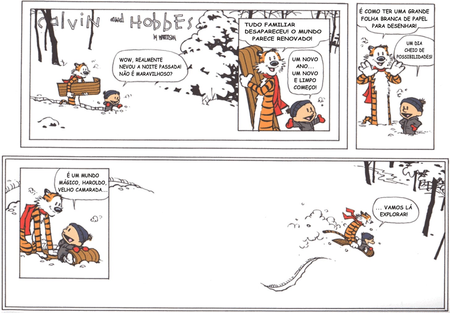 A última tirinha de Calvin e Haroldo foi publicada em 31 de dezembro de 1995