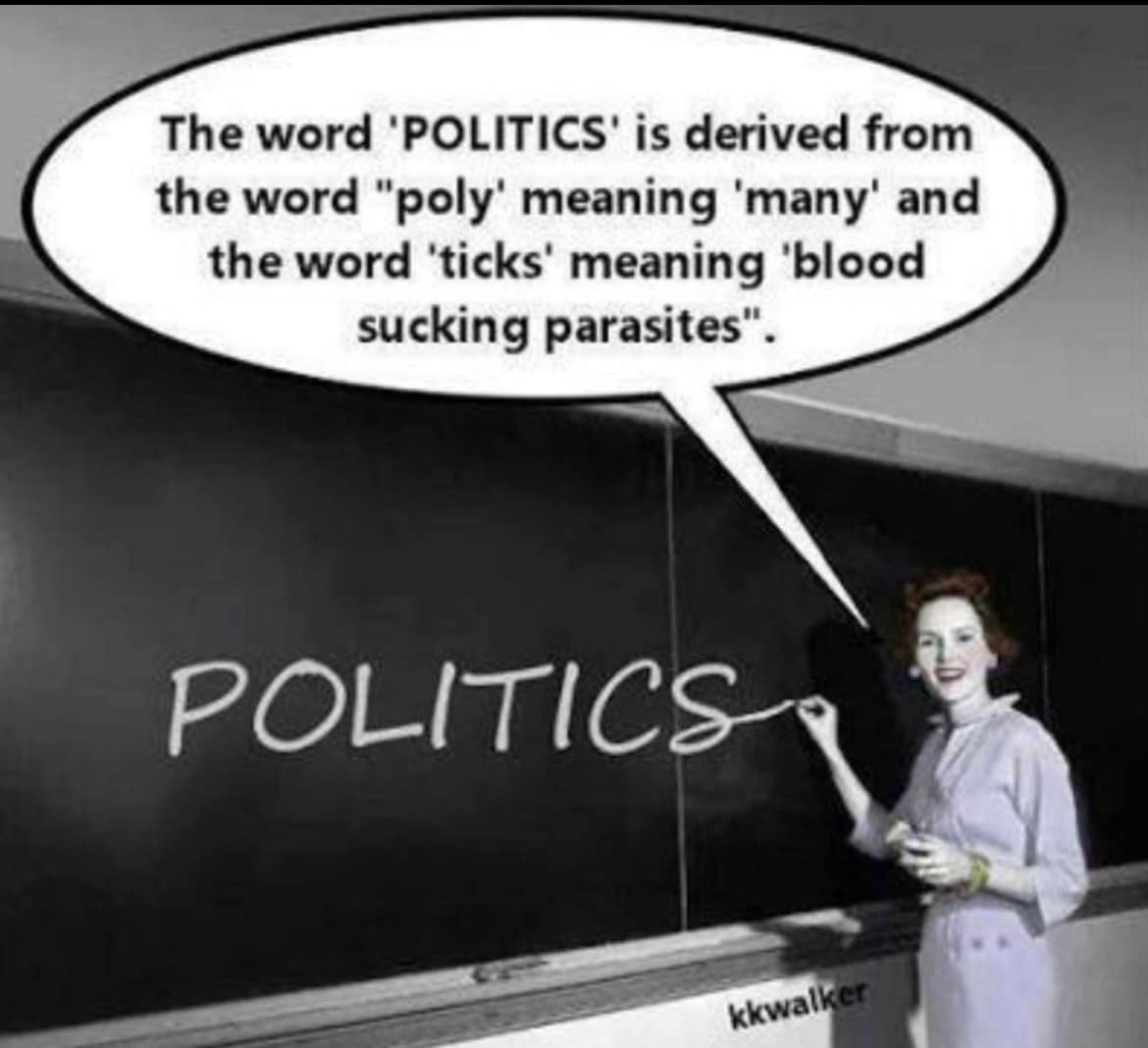 May be an image of 1 person, tick and text that says 'The word 'POLITICS' is derived from the word "poly' meaning many and the word 'ticks' meaning 'blood sucking parasites". POLITICS kkwalk'