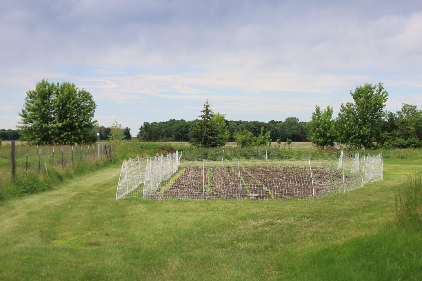 the Middle Earth plot at the Genuine Faux Farm