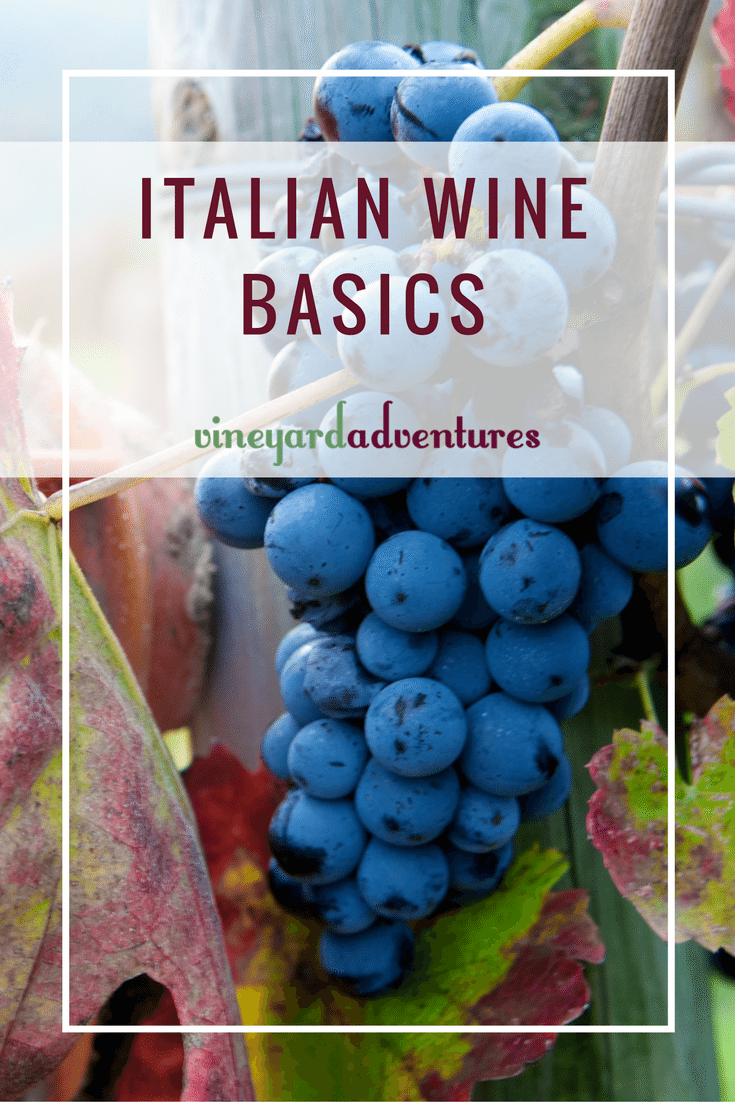 Italian Wine Basics | Vineyard Adventures