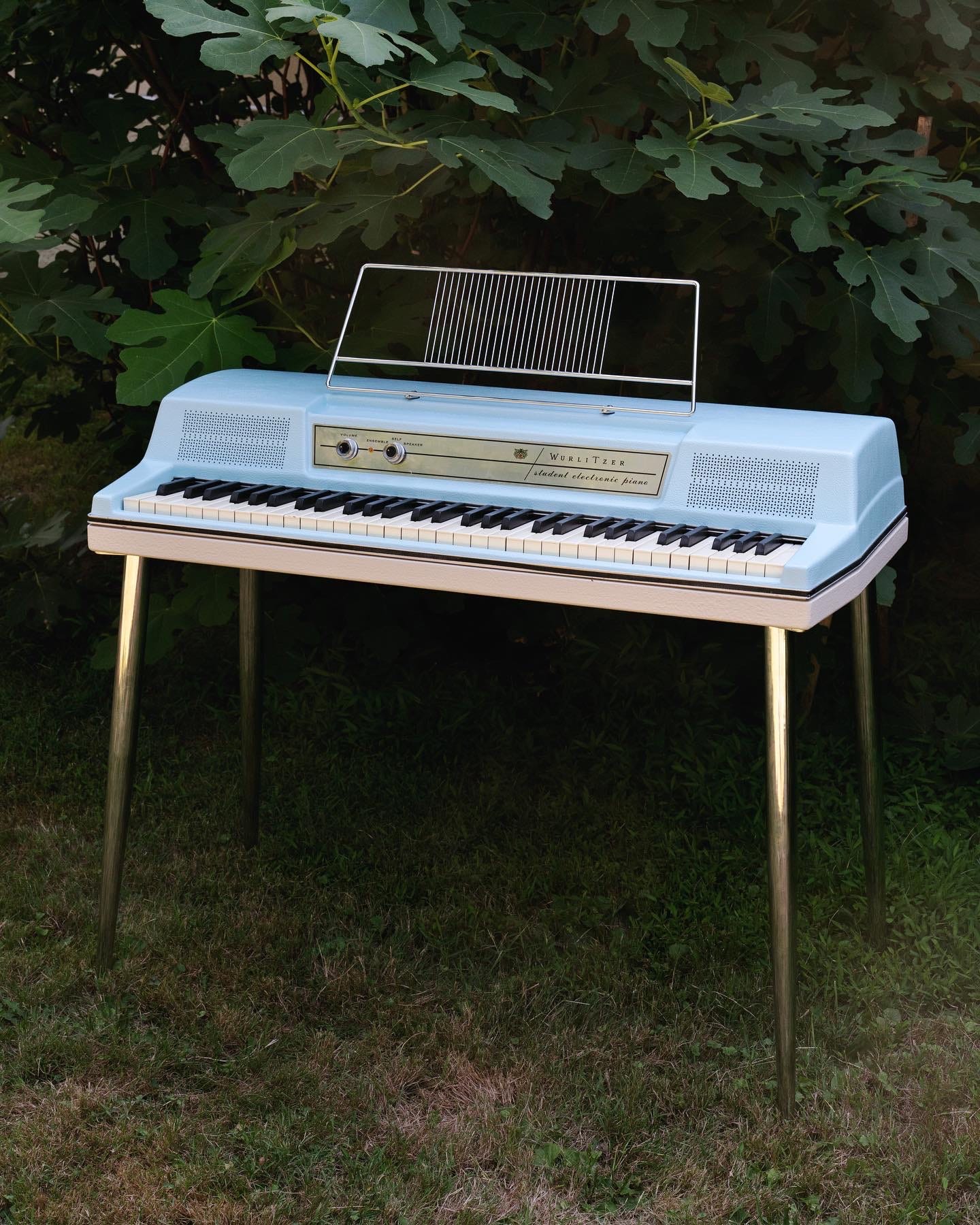 A light blue Wurlitzer 200 in the grass, in front of a fig tree.