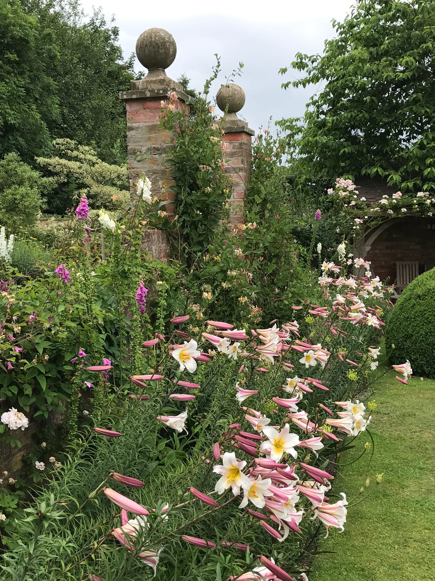 Royal lilies, foxgloves and honeysuckle near the pillars of the Font Garden. 