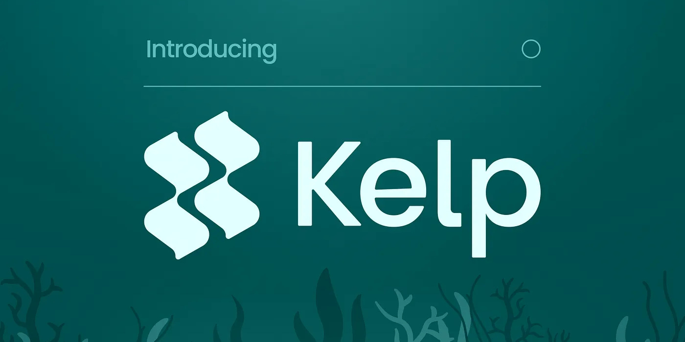 An In-Depth Guide on Claiming the Kelp DAO Crypto Airdrop rewards for  Staking rsETH | by 0xQuit | Jan, 2024 | Medium