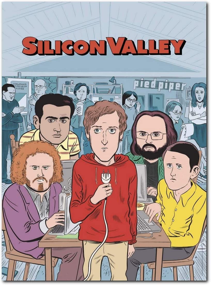 Silicon Valley Tv Series Poster 13 x 19 inch 33 x 48 cm unframed, Display  Ready Photo Print - Toon Style
