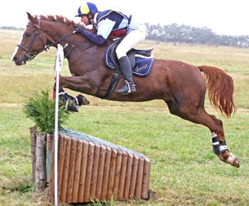 Sophie in action during a horse trials competition at home, on the Selle Francais Loriot de Couston.