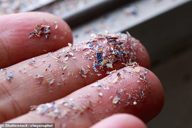 An expert has revealed 10 foods that are high in microplastics , and 'the easy swaps' that can help you avoid them