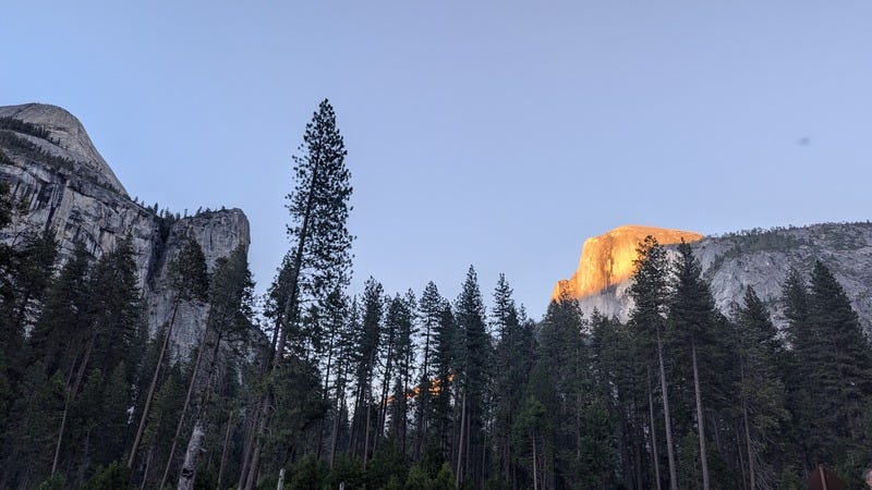 Half Dome in Yosemite National Park, with the golden light of sunset on the face of the dome and evergreen trees below