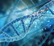 Image result for gariaev photons dna