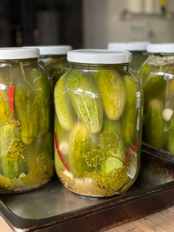 Fermenting cucumber pickles in gallon glass jars the brine is getting cloudy.