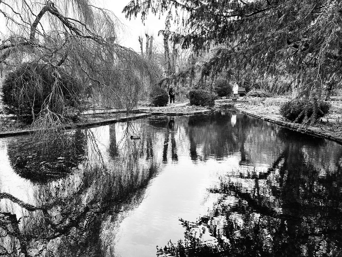 A black and white photo of the pond at The Courts, Holt, Wiltshire. The trees are reflected in the water.