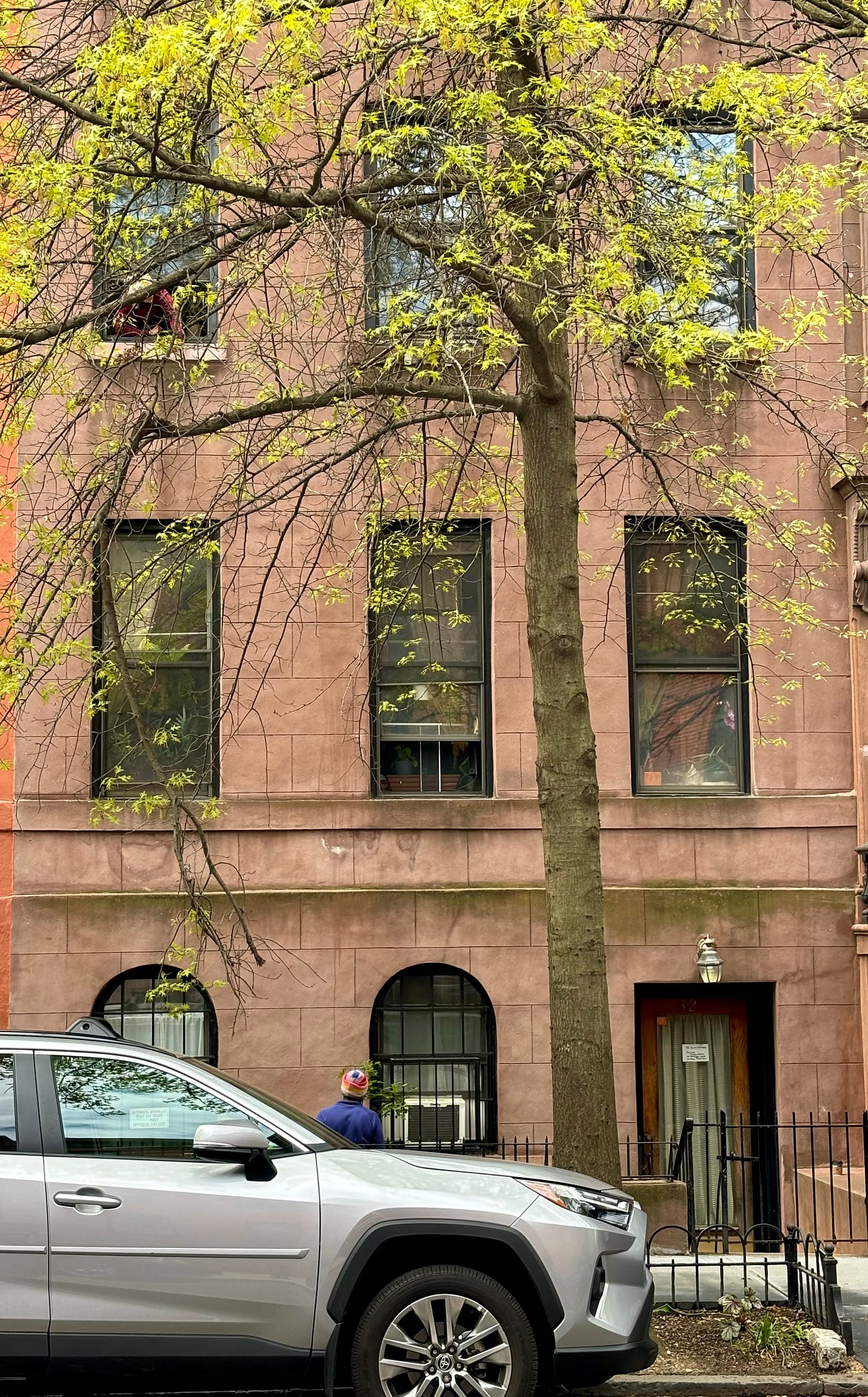 A terra cotta colored apartment building on a quiet Brooklyn street. A resident is leaning out of their window to talk to a person on the sidewalk. There is a tree in front of it starting to bloom green.